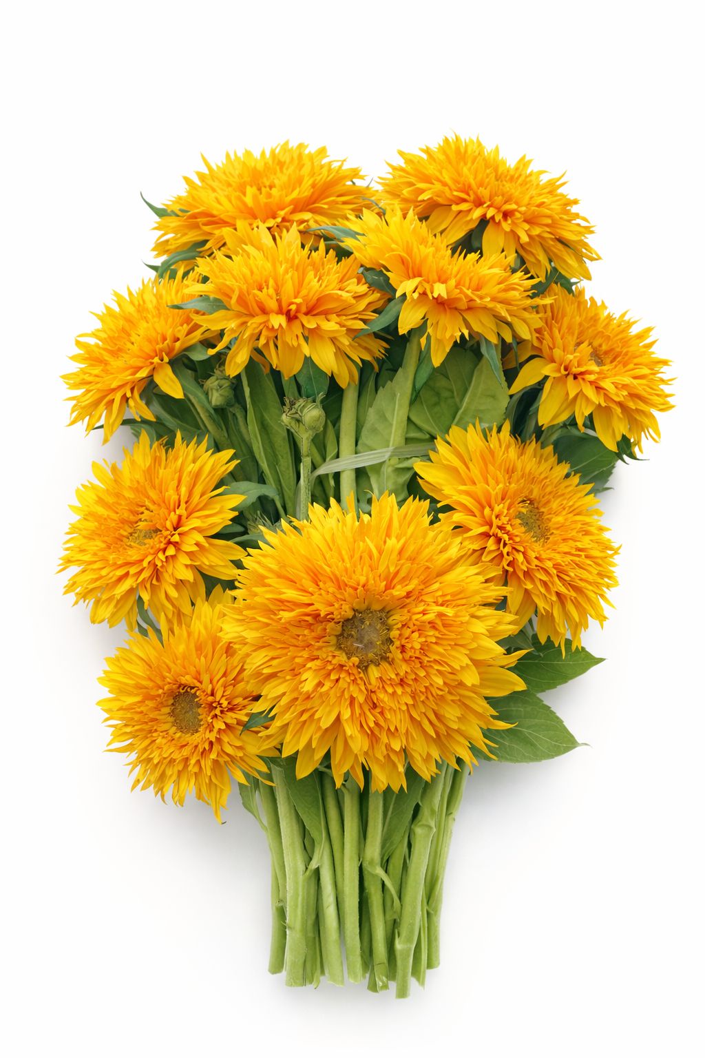 Ramo Devorativo de Girasoles Tipo “Teddy Bear” en Tono Amarillo