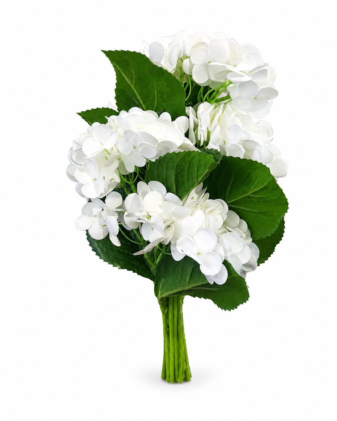 Ramo de Hortensias Blancas