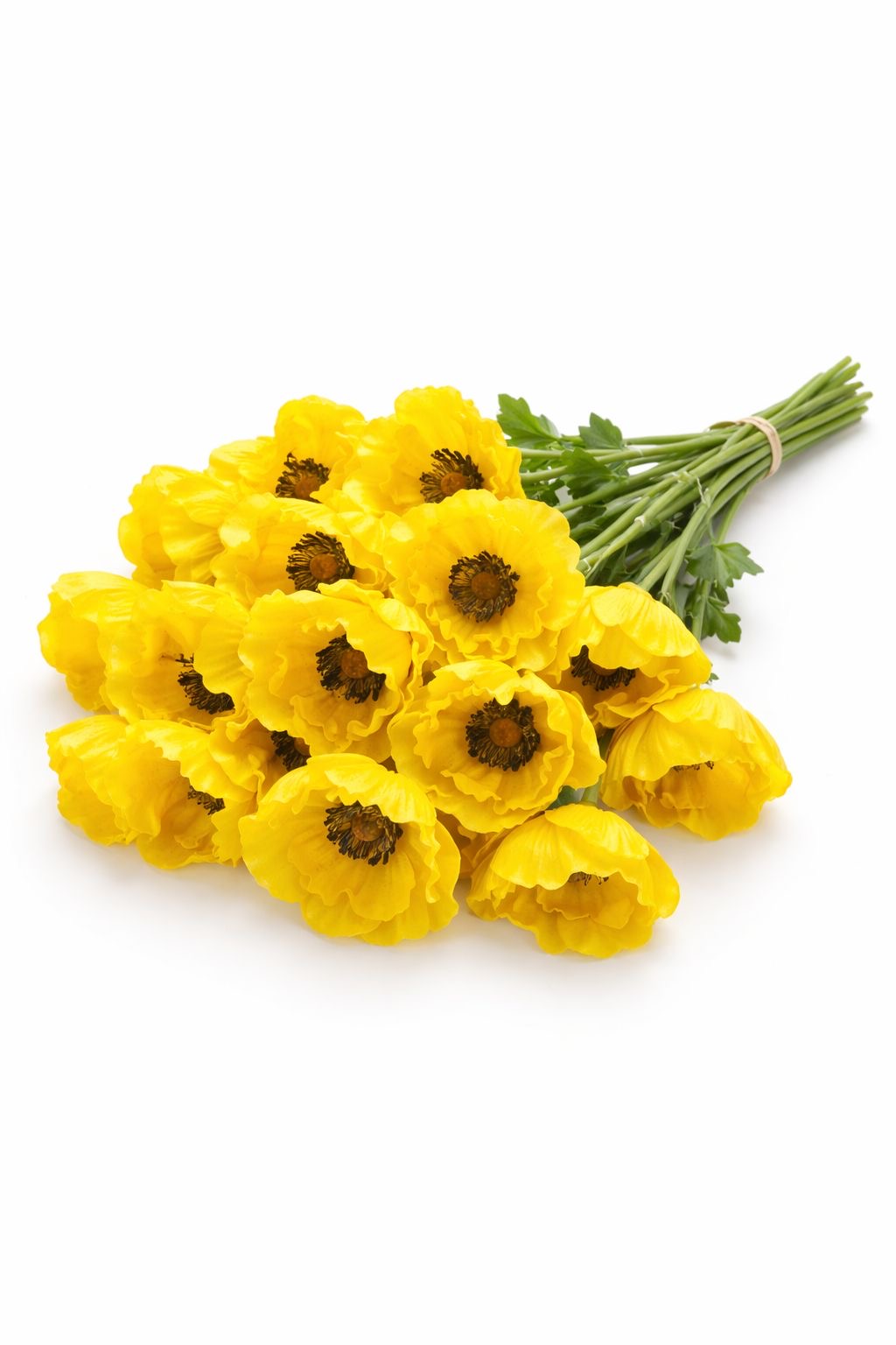 Flor Artificial Tipo Amapola Amarilla Set of Three