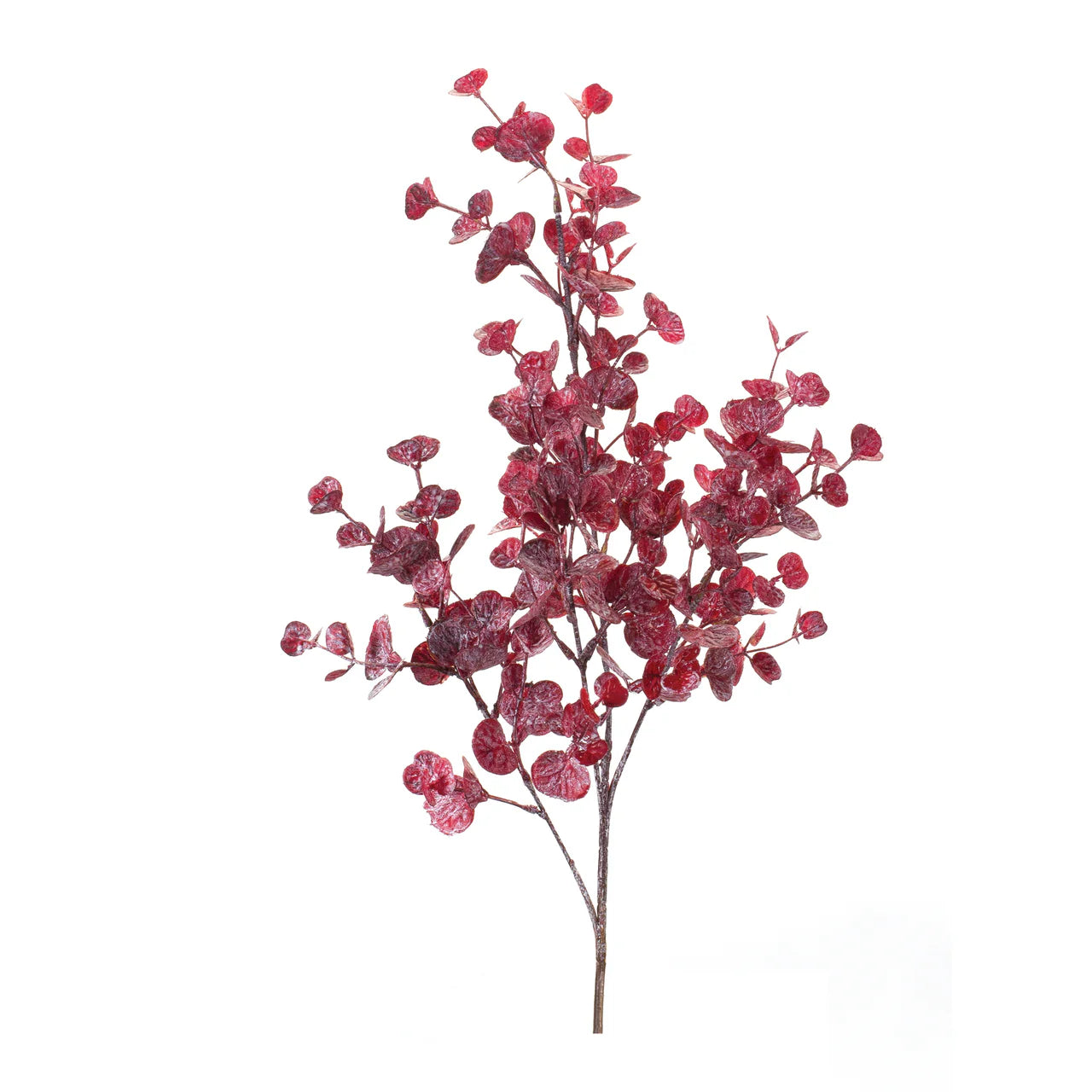 Eucalyptus Bourdeaux Leaf