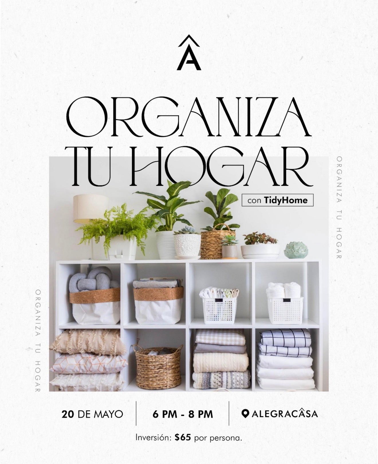 Organiza tu hogar con TidyHome