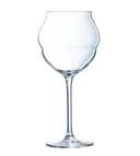 Copa Macaron Set of 6