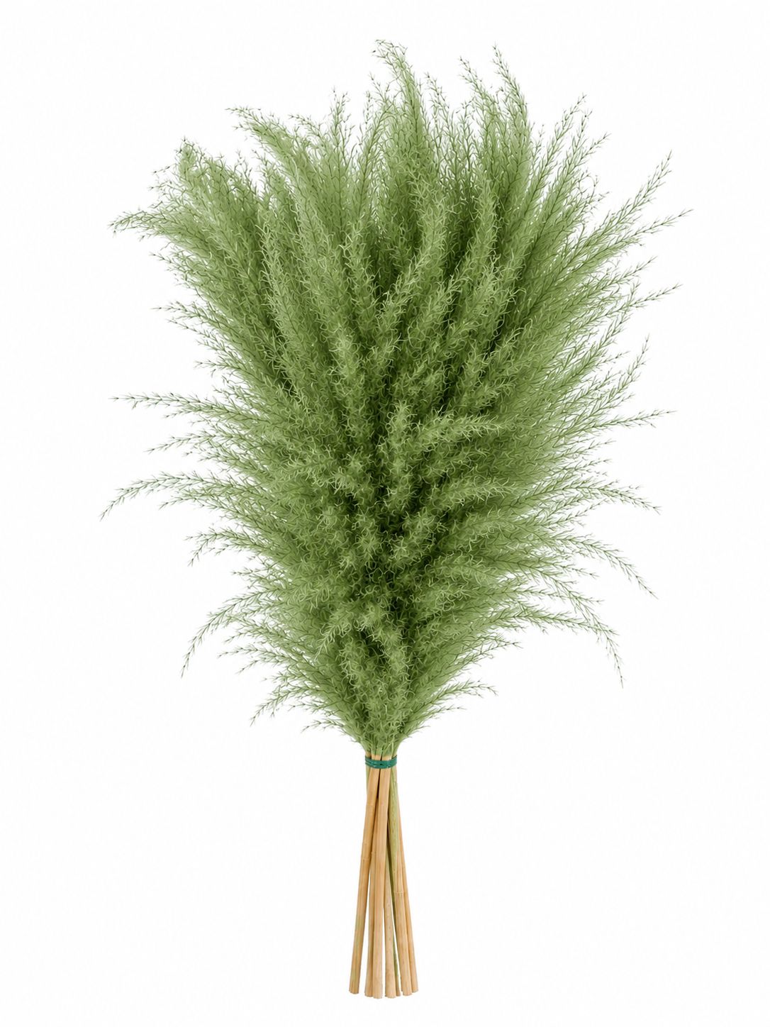 Pampas Verde Oliva 3’ de Alto