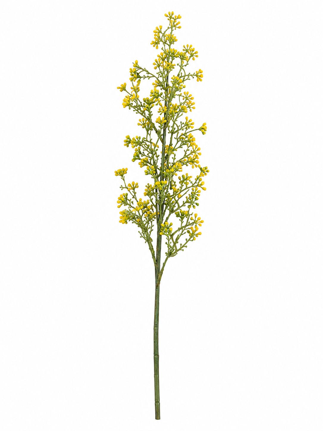 Golden Meadow Stem