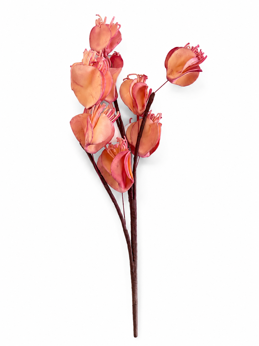 Blush Magnolia Stem