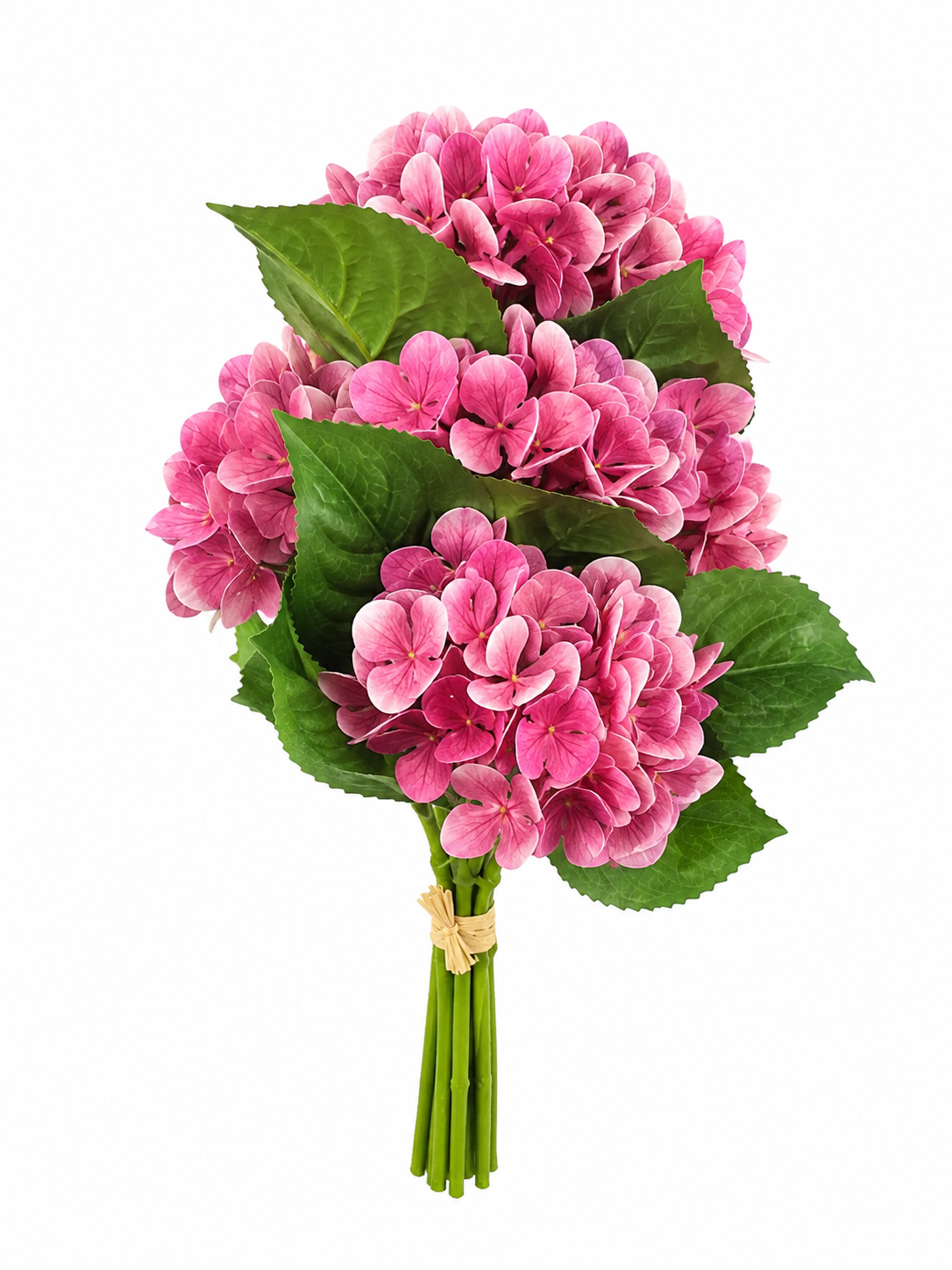 Ramo de Hortensias Rosadas