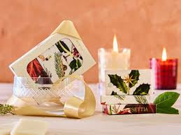 HOLIDAY SOAP GIFT SET